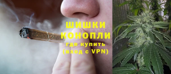 ПСИЛОЦИБИНОВЫЕ ГРИБЫ Белоозёрский