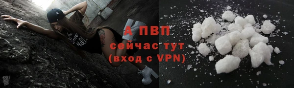 ПСИЛОЦИБИНОВЫЕ ГРИБЫ Белоозёрский